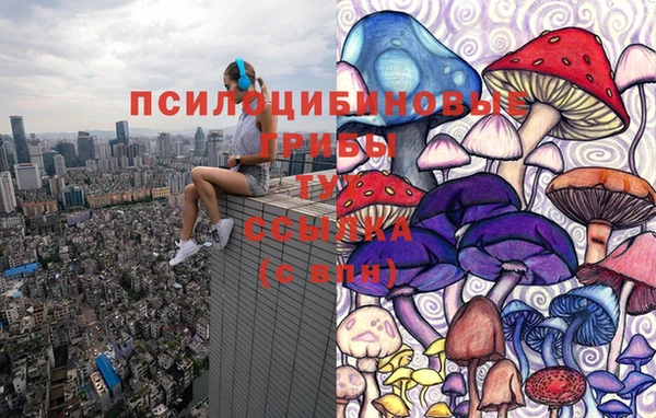 Альфа ПВП Заволжье