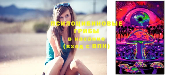 не бодяженный Дмитровск