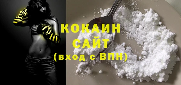 меф Ельня