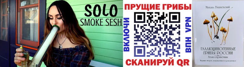 закладка  Сенгилей  Псилоцибиновые грибы мухоморы 